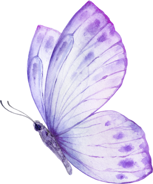 Butterfly Purple  Violet Watercolor