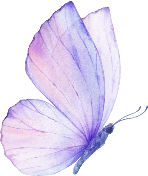 Pink Violet Watercolor Butterfly